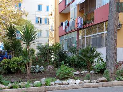 Giardini che ospitano folti cespugli, piante e diversi tipi di alberi (foto di Antonio Caradonna)
